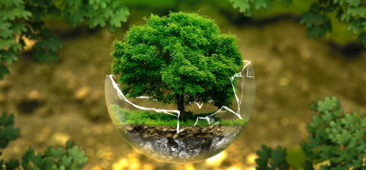 green earth 