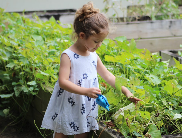 gardening